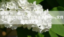 手机怎么打开dwg文件（手机打开dwg文件需要什么软件）