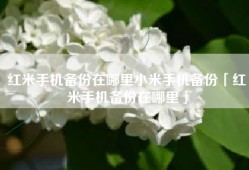 红米手机备份在哪里小米手机备份「红米手机备份在哪里」