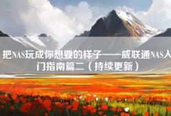 把NAS玩成你想要的样子——威联通NAS入门指南篇二（持续更新）