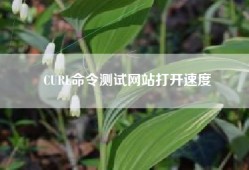 CURL命令测试网站打开速度