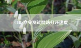 CURL命令测试网站打开速度