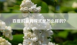 百度的盈利模式是怎么样的？