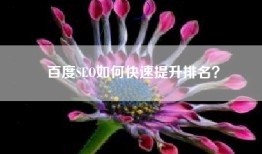 百度SEO如何快速提升排名？