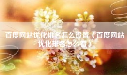 百度网站优化排名怎么设置（百度网站优化排名怎么看）