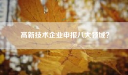 高新技术企业申报八大领域？