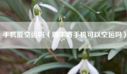手机能空运吗（顺丰寄手机可以空运吗）