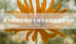 关于跨境电商你不得不知道的爆单知识