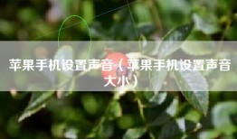 苹果手机设置声音（苹果手机设置声音大小）