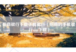 招商银行下载手机银行（招商的手机银行app下载）