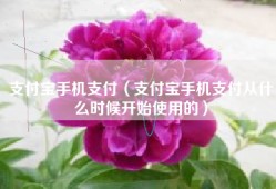 支付宝手机支付（支付宝手机支付从什么时候开始使用的）