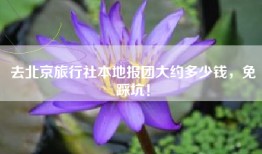 去北京旅行社本地报团大约多少钱，免踩坑！