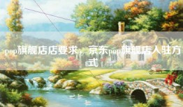 pop旗舰店店要求，京东pop旗舰店入驻方式