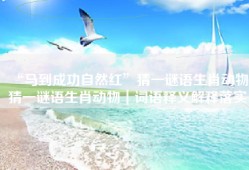 “马到成功自然红”猜一谜语生肖动物,猜一谜语生肖动物｜词语释义解释落实