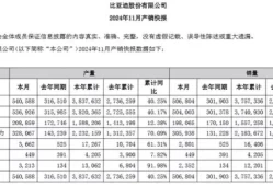 11月车市：比亚迪夺冠，新势力月销破万成新常态