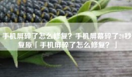 手机屏碎了怎么修复？手机屏幕碎了20秒复原「手机屏碎了怎么修复？」