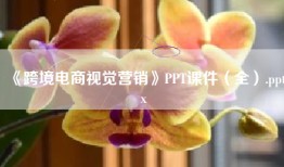 《跨境电商视觉营销》PPT课件（全）.pptx