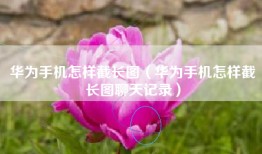 华为手机怎样截长图（华为手机怎样截长图聊天记录）