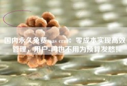 国内永久免费saas crm：零成本实现高效管理，用户-再也不用为预算发愁！