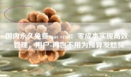 国内永久免费saas crm：零成本实现高效管理，用户-再也不用为预算发愁！