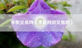 手机交易网（手机网游交易网）
