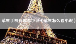 苹果手机在哪看小说（苹果怎么看小说）