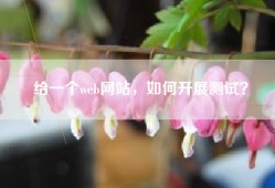给一个web网站，如何开展测试？