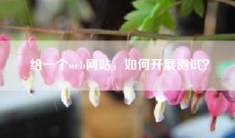 给一个web网站，如何开展测试？