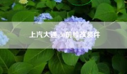 上汽大通g50前脸改装件