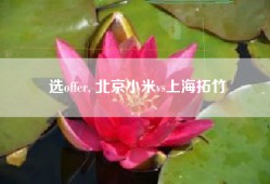 选offer, 北京小米vs上海拓竹