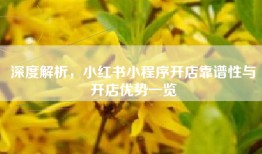 深度解析，小红书小程序开店靠谱性与开店优势一览
