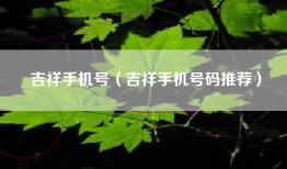 吉祥手机号（吉祥手机号码推荐）