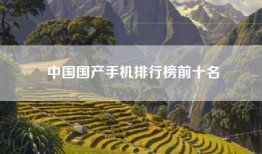 中国国产手机排行榜前十名