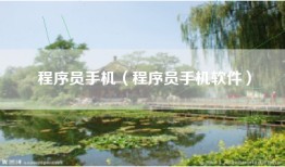 程序员手机（程序员手机软件）