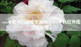 vivo手机可以遥控空调吗（vivo手机红外线功能在哪）