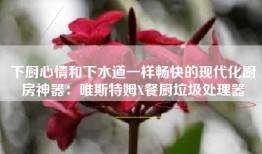 下厨心情和下水道一样畅快的现代化厨房神器：唯斯特姆X餐厨垃圾处理器
