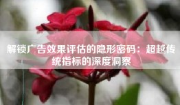 解锁广告效果评估的隐形密码：超越传统指标的深度洞察