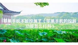 苹果手机不能投屏了（苹果手机的投屏功能怎么打开）