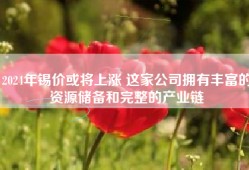 2024年锡价或将上涨 这家公司拥有丰富的资源储备和完整的产业链