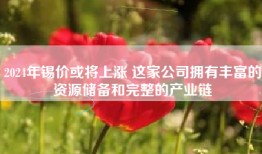 2024年锡价或将上涨 这家公司拥有丰富的资源储备和完整的产业链
