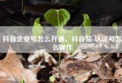 抖音企业号怎么开通，抖音蓝v认证号怎么操作