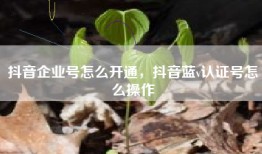抖音企业号怎么开通，抖音蓝v认证号怎么操作
