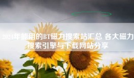 2024年能用的BT磁力搜索站汇总 各大磁力搜索引擎与下载网站分享