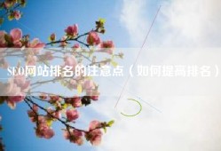 SEO网站排名的注意点（如何提高排名）