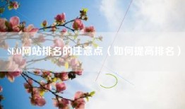 SEO网站排名的注意点（如何提高排名）