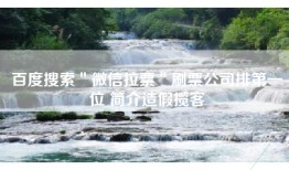 百度搜索＂微信拉票＂刷票公司排第一位 简介造假揽客