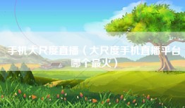 手机大尺度直播（大尺度手机直播平台哪个最火）