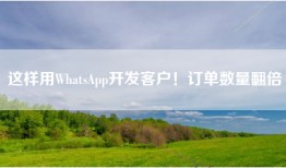这样用WhatsApp开发客户！订单数量翻倍