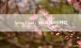 Spring Cloud，Dubbo及HSF对比