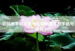 如何查本机手机号（如何查本机手机号二维码）