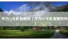 华为5g手机有哪些（华为5G手机有哪些吗）